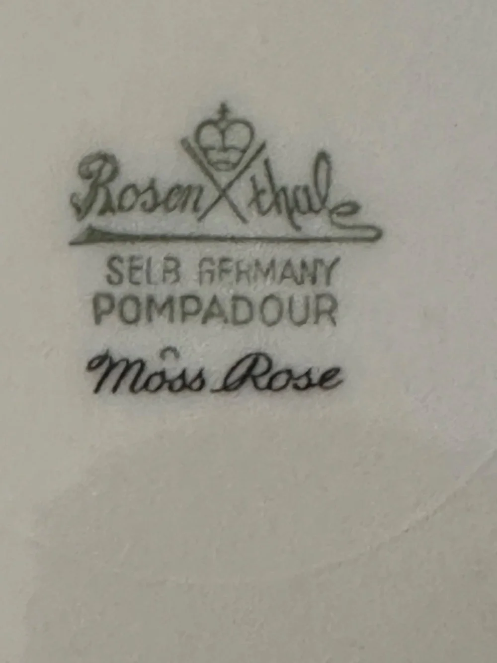 Rosenthal German China Pompadour Moss Rose Dinner Plate